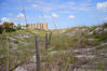 Filename=beach_hue_experiment_2.jpg
Filesize=137KB
Dimensions=800x533
Date added=Aug 13, 2006 beach_hue_experiment_2.jpg